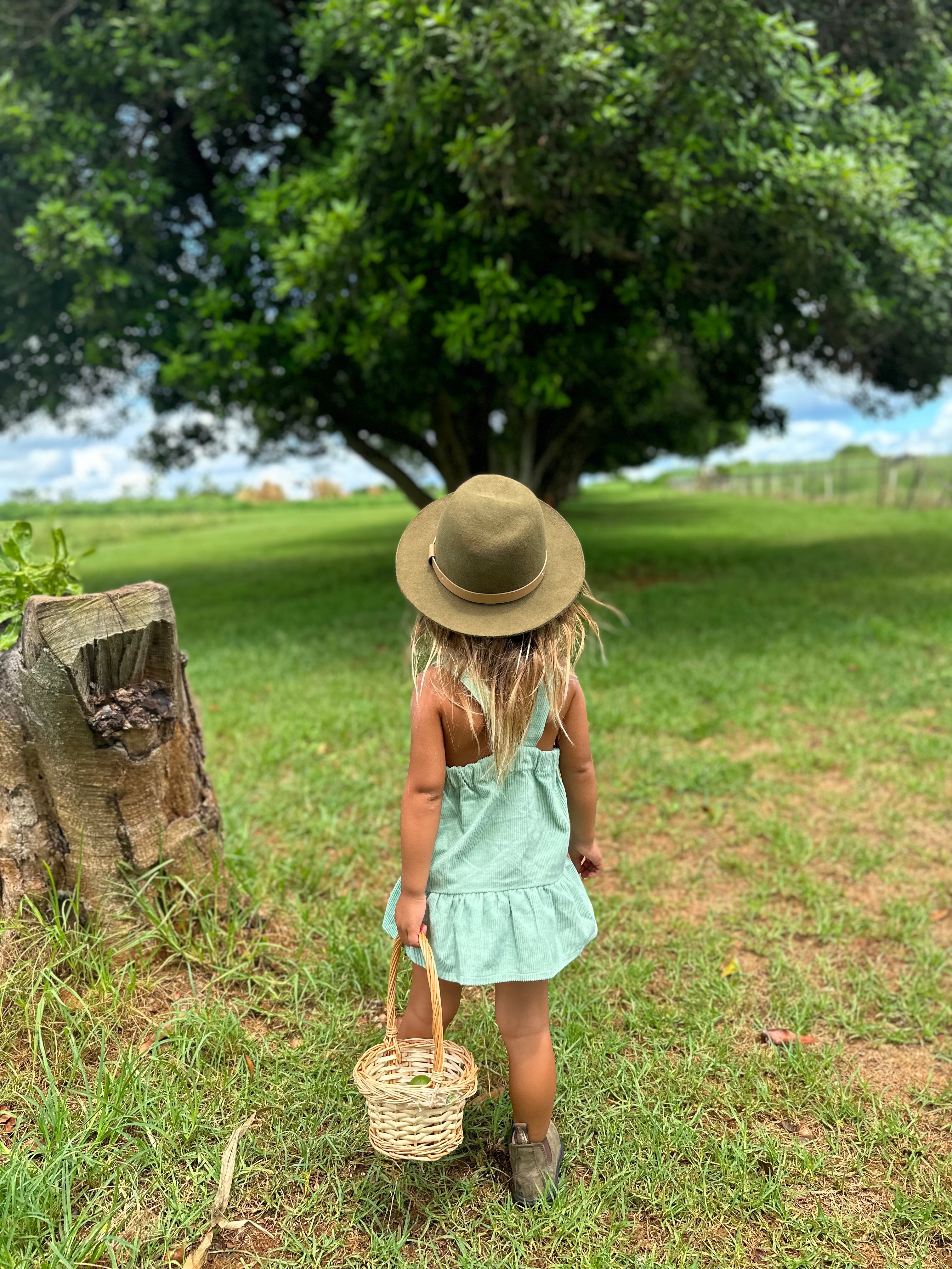 sustainability-green-reef-co