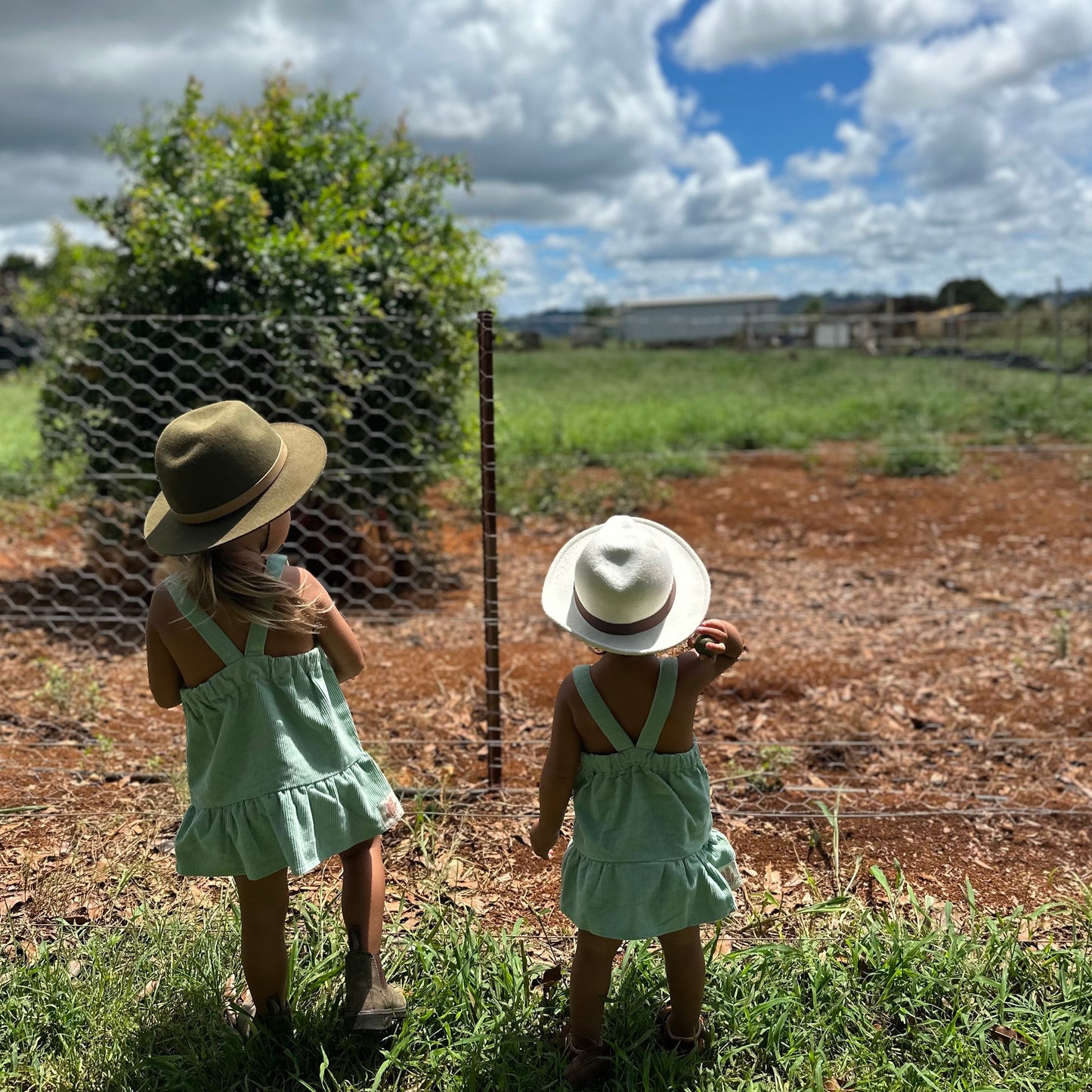 Gots certified organic cotton, ethical and sustainable fashion for babies and toddler, ocean green, reef-friendly fashion, Australian small business, corduroy for babies, baby toddler corduroy dress, retro dress, button dress with pockets